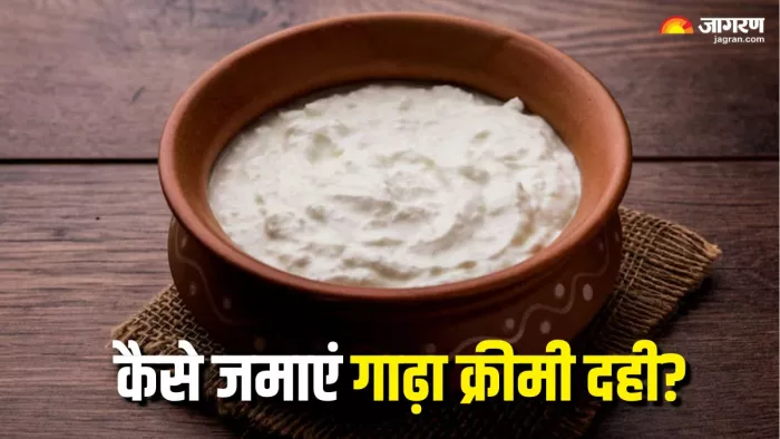 क्या है घर पर दही जमाने का सही तरीका? (Picture Courtesy: Freepik)