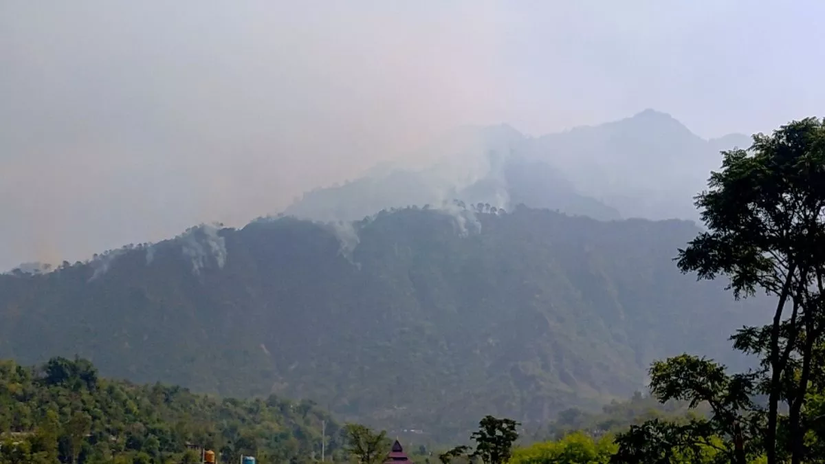 Jammu Kashmir News: पौनी के नाला की पहाड़ी पर फिर लगी भीषण आग, आग पर काबू पाने की कोशिश कर रहे वन विभाग के कर्मचारी