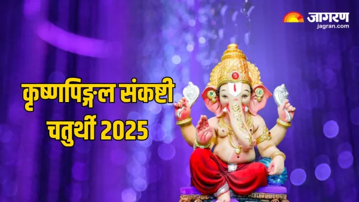 Krishnapingal Sankashti Chaturthi 2025: कैसे करें गणपति बप्पा गणेश को प्रसन्न (Pic Credit-Freepik)