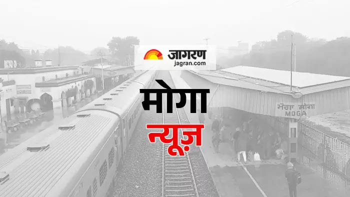 विवादित वसीयत मामले में तहसीलदार पर आरोप, जांच जारी