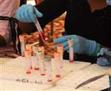 उत्तर प्रदेश ने छह करोड़ से ज्यादा कोरोना वायरस संक्रमण की जांच कर रिकॉर्ड बनाया है।