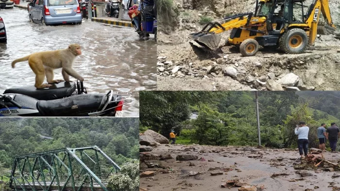 कोई समस्या होने पर टोल फ्री नंबर 1077 पर सूचना दी जा सकती है।