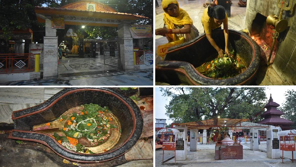 News Article Hero Image