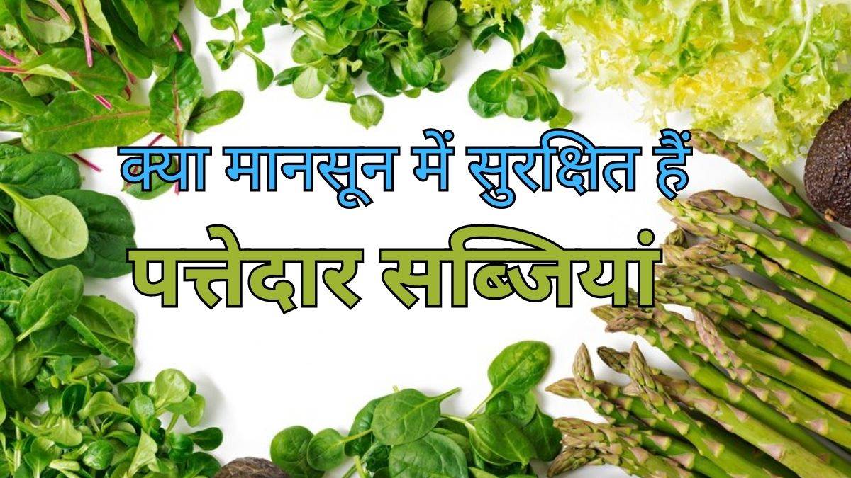 https://www.jagranimages.com/images/newimg/09072023/09_07_2023-sabji_23465682.jpg