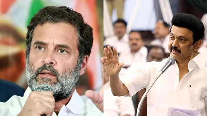 DMK शासनकाल में तमिलनाडु में बढ़ा दलित उत्पीड़ - केंद्रीय मंत्री एल. मुरुगन। फाइल फोटो।