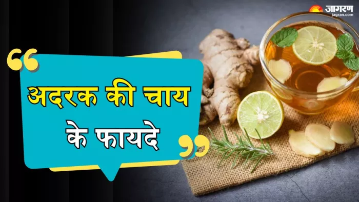 सेहत के लिए वरदान अदरक की चाय (Picture Credit- Freepik)