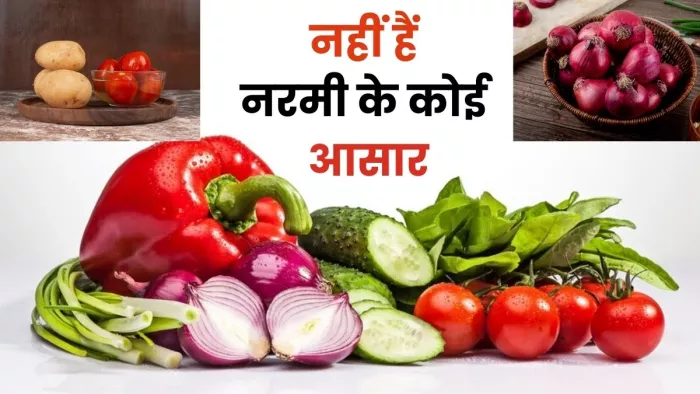Vegetable Price Hike: सब्जियों के दाम में गिरावट की नहीं कोई उम्मीद