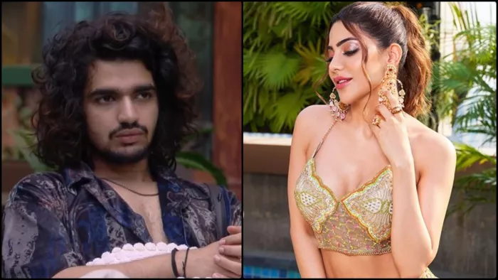 विशाल पांडे के सपोर्ट में उतरीं बिग बॉस की एक्स कंटेस्टेंट। फोटो क्रेडिट- इंस्टाग्राम