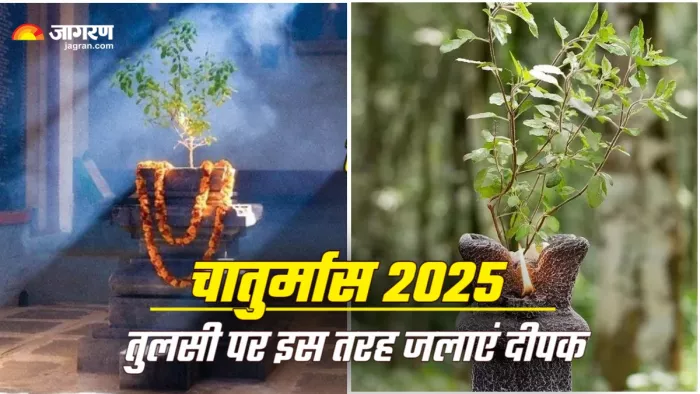 Chaturmas 2025 जानें तुलसी से जुड़े नियम।