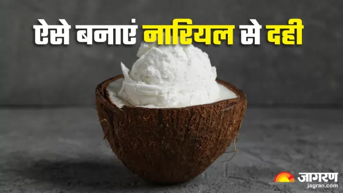 ऐसे तैयार करें नारियल दूध का दही (Picture Credit- Freepik)