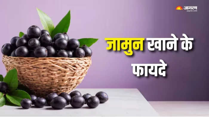 जामुन में छिपा है सेहत का राज! (Picture Courtesy: Freepik)