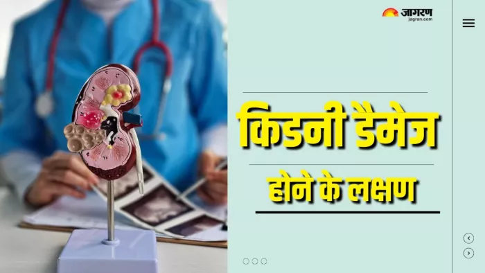 किडनी डैमेज होने के शुरुआती लक्षण कैसे होते हैं? (Picture Courtesy: Freepik)