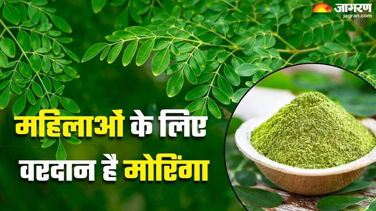 https://www.jagranimages.com/images/newimg/09072025/09_07_2025-moringa_for_women_23979454.jpg