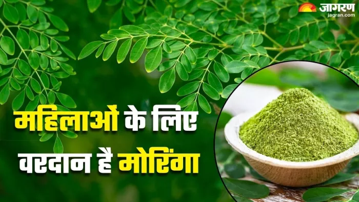 महिलाओं के लिए मोरिंगा के फायदे (Picture Credit- Freepik/Pexels)