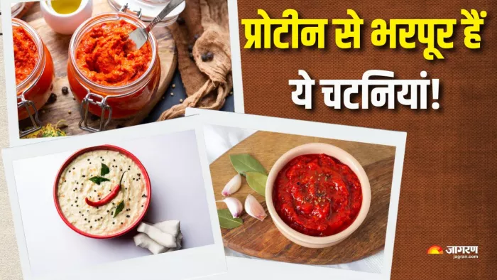 इन चटनियों में होता है भरपूर प्रोटीन (Picture Courtesy: Freepik)