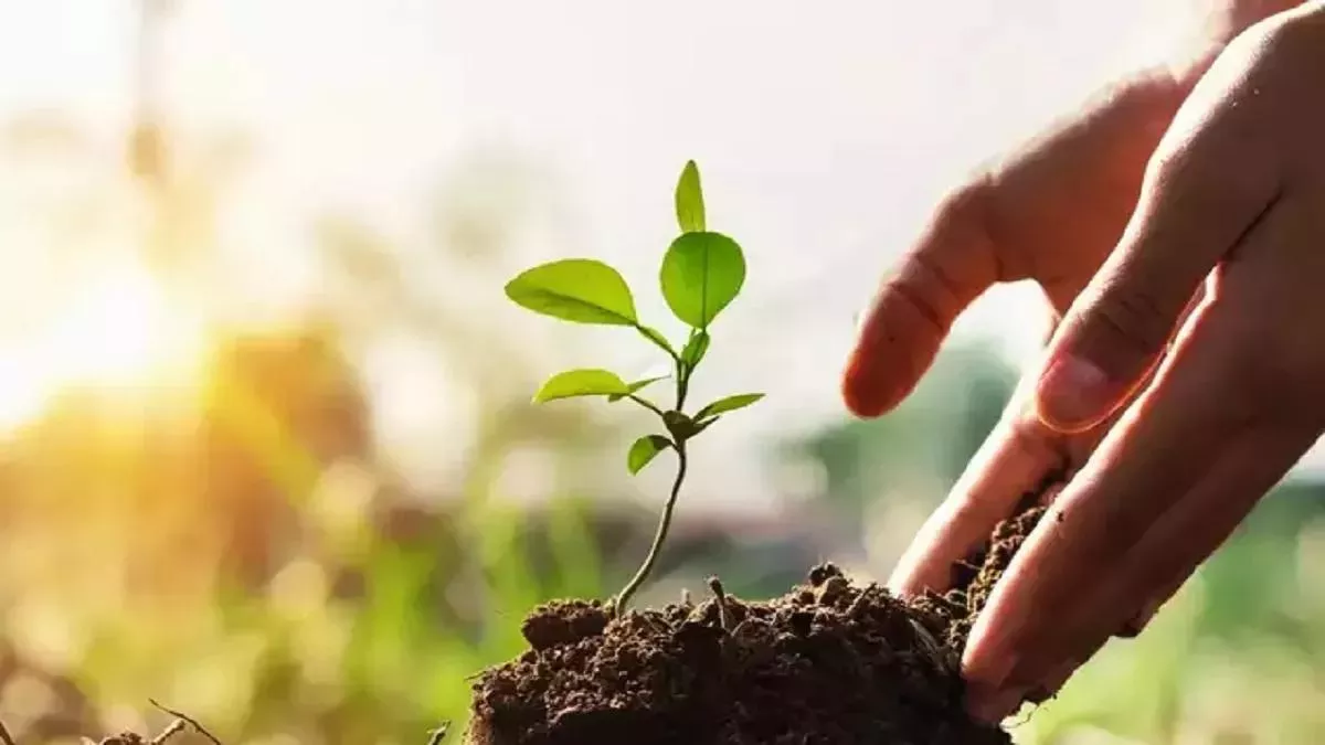 विचार: आइए करें वसुधा का हरित शृंगार, भविष्य रोपेंगे, हम संस्कार रोपेंगे- योगी आदित्यनाथ