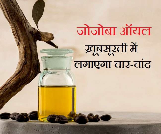 Jojoba Oil For Skin त्वचा के लिए वरदान है जोजोबा ऑयल, स्किन पर लगाएं