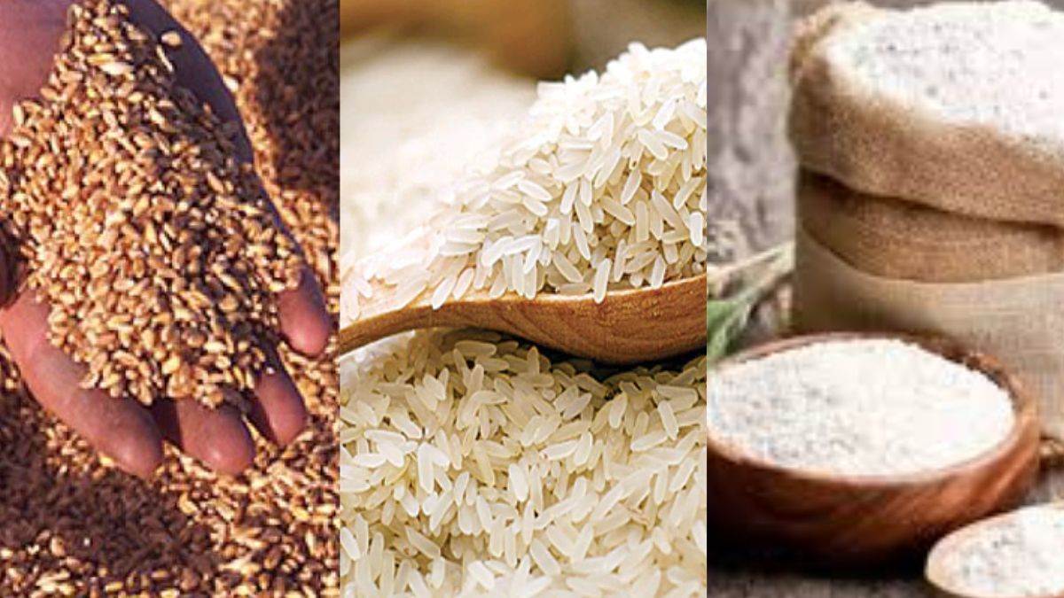 https://www.jagranimages.com/images/newimg/09082023/09_08_2023-wheat_23496513.jpg