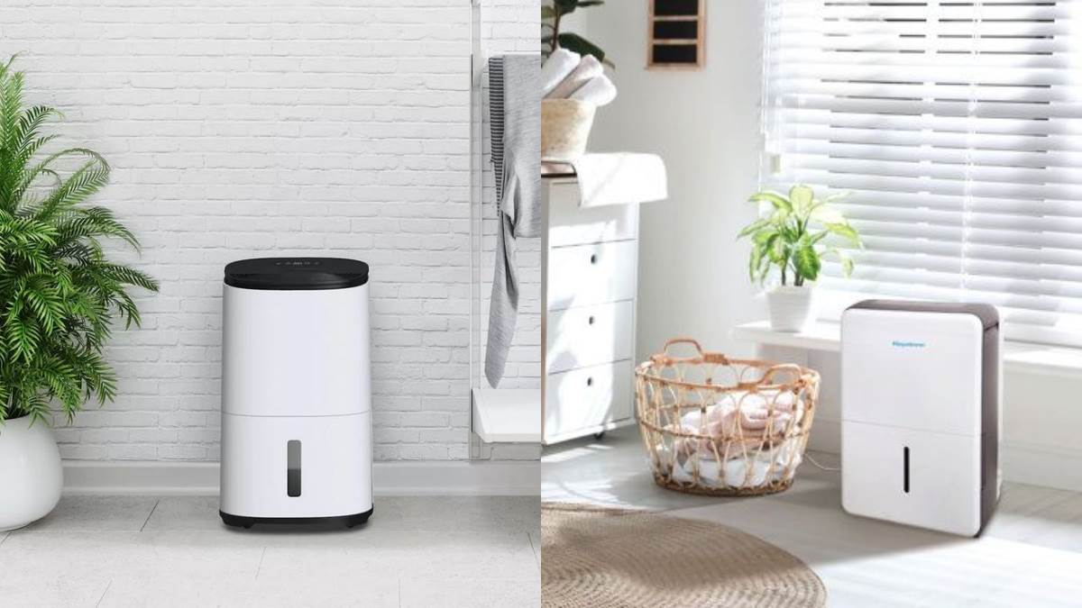 अब घर में चैन से लें पाएंगे सांस! जब खरीदकर लाएंगे ये Dehumidifiers For Room, शुरूआती कीमत मात्र 5 हजार रुपये