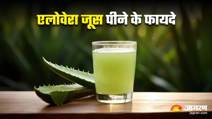सेहत के लिए बेहद फायदेमंद है Aloe Vera Juice (Image Source: Freepik)
