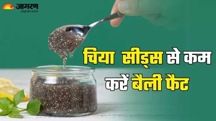 बैली फैट घटाएगा चिया सीड्स (Picture Credit- Freepik)