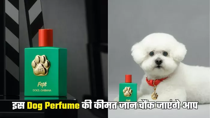 Dolce & Gabbana ने किया डॉग पर्फ्यूम लॉन्च (Picture Courtesy: Instagram)