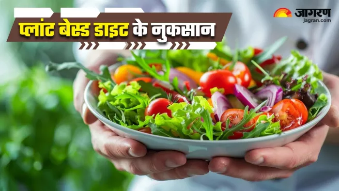 अगर आप भी ले रहे हैं Plant Based Diet, तो जान लीजिए इसके नुकसान (Image Source: Freepik)