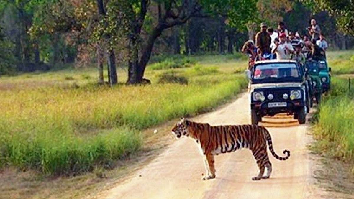https://www.jagranimages.com/images/newimg/09082025/09_08_2025-haryana_news_1_24008154.jpg
