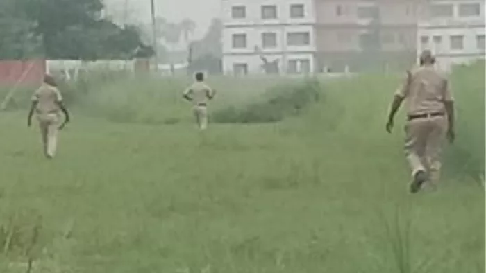 घटनास्थल पर पहुंची पुलिस ने झाड़ी में छिपे दो बदमाशों को दबोच लिया। जागरण