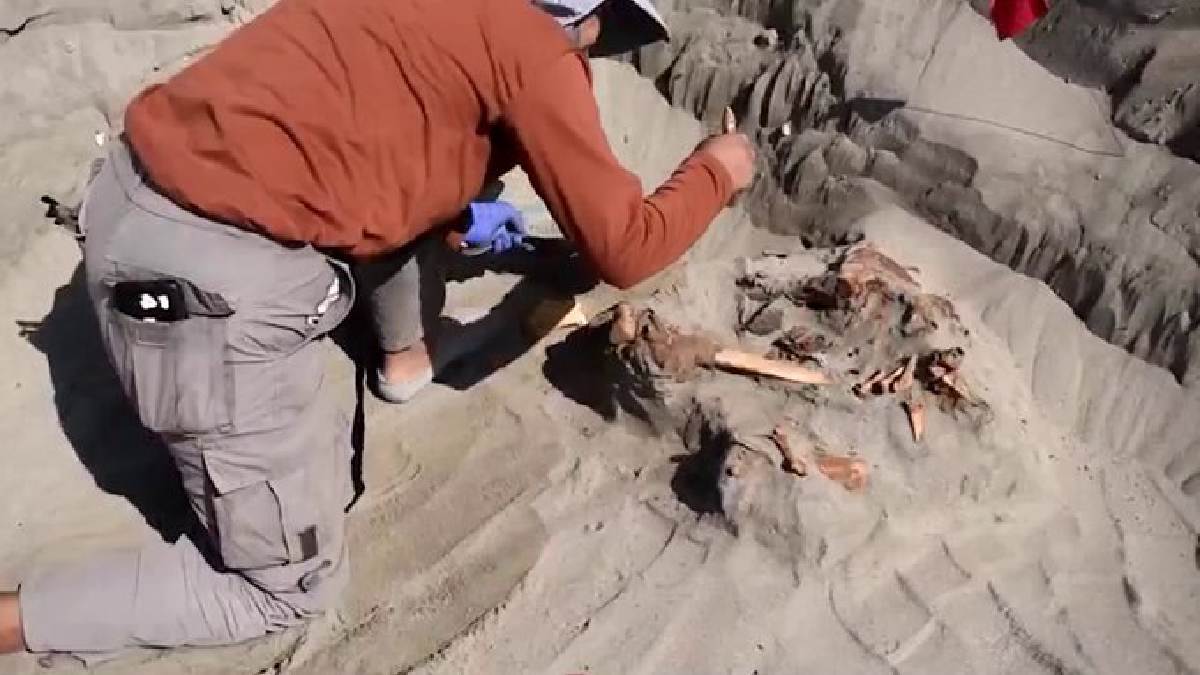 https://www.jagranimages.com/images/newimg/09082025/09_08_2025-peru_3000_year_old_skeltons_24008254.jpg