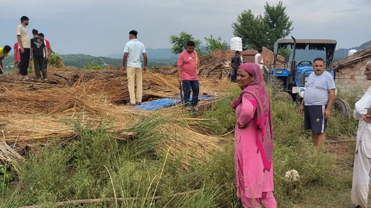 जम्मू-कश्मीर के जिला राजौरी के सीमांत गांव अप्पर कांगड़ी आंधी-तूफान का कहर, मुर्गा शेड ढहने से दो हजार मुर्गों की मौत