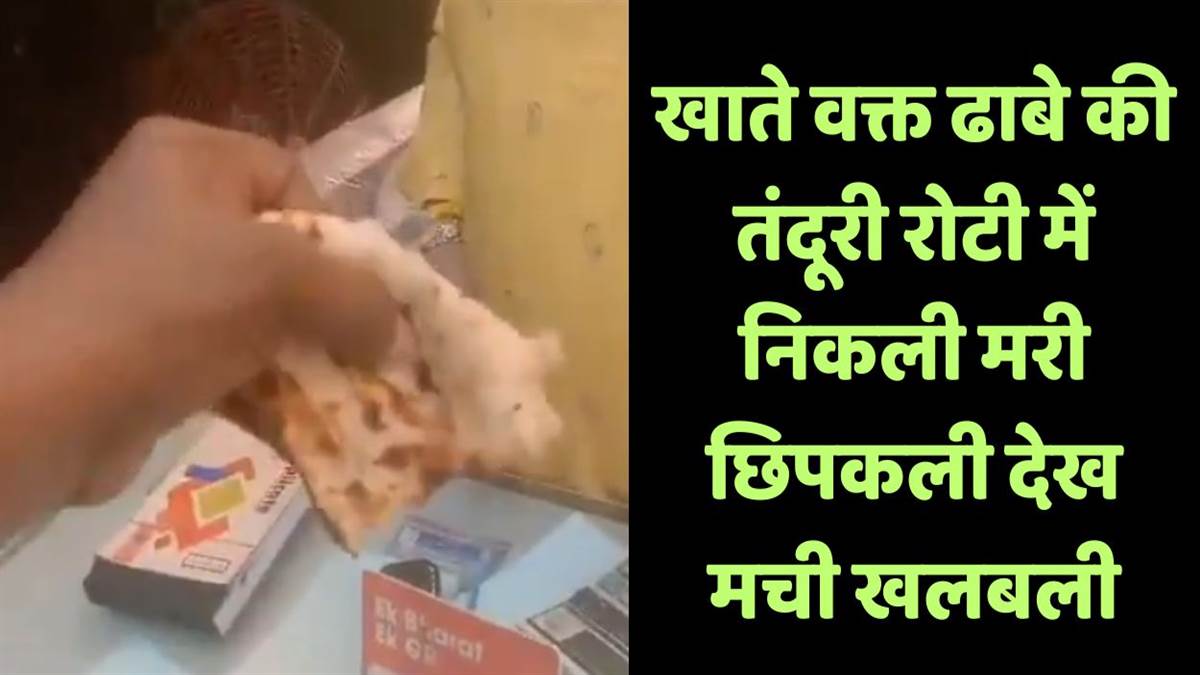 https://www.jagranimages.com/images/newimg/09082025/09_08_2025-up_news_lizard_found_inside_tandoor_roti_24008637.jpg
