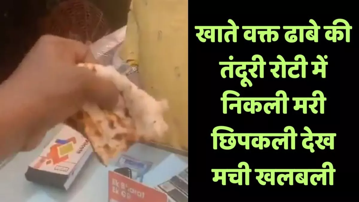 Kanpur News: ढाबे की तंदूरी रोटी में निकली मरी छिपकली देख मची खलबली, इंटरनेट मीडिया पर Video Viral