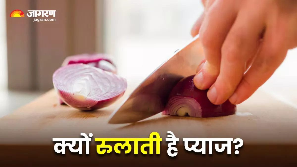 प्याज काटते समय क्यों निकल पड़ते हैं आंसू? ये रही इसकी वैज्ञानिक वजह