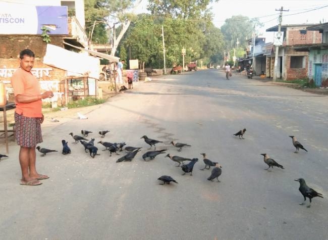 เคชเค्เคทिเคฏों เคो เคฆाเคจा เคिเคฒाเคจे เคธे เคถुเคฐू ...