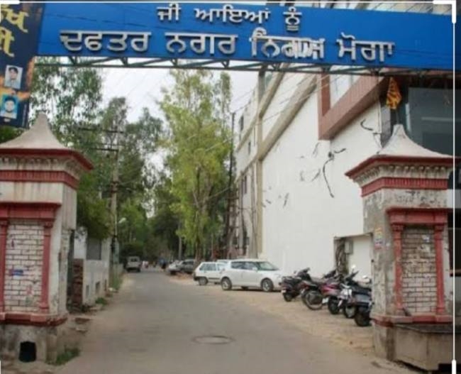 in investigation report department recommended taken action as guilty