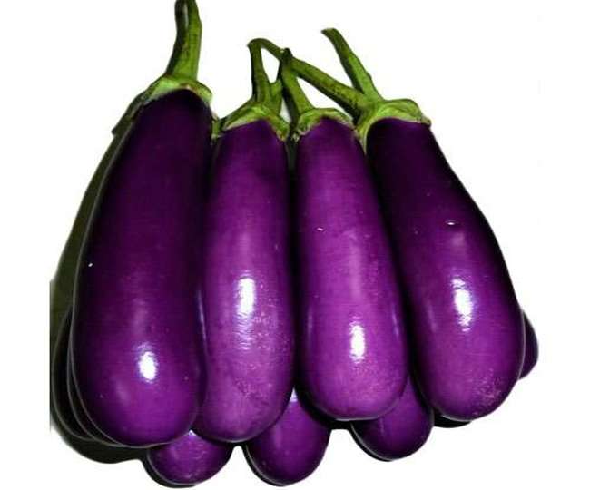 Brinjal Benefits बैंगन में होता है चमत्कारिक गुण आप भी जानकर इसके दीवाने हो जाएंगे - Brinjal Benefits : Knowing these benefits you will too become fan of Brinjal