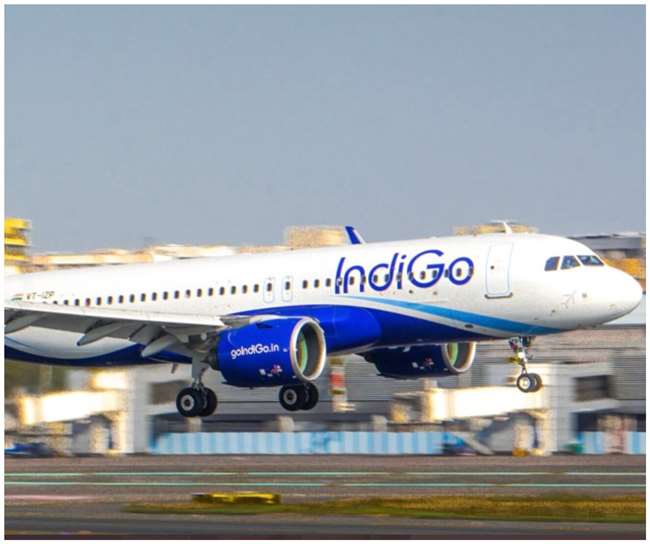 Indigo information picture