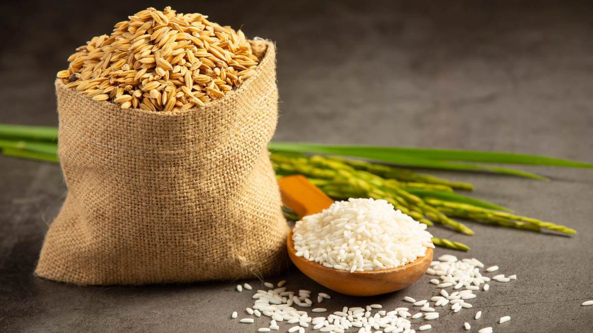 https://www.jagranimages.com/images/newimg/09092022/09_09_2022-22_07_2022-white_rice_healthy_options_f_22910913_23055434.jpg