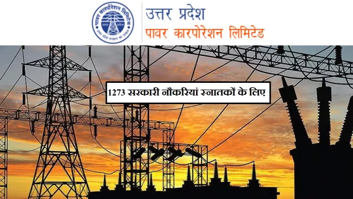 यूपीपीसीएल ईए भर्ती 2022 के लिए आवेदन आधिकारिक वेबसाइट, uppcl.org पर कर सकते हैं।