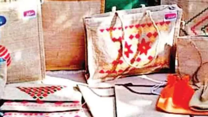Delhi News: ग्राहक से कैरी बैग के रुपये वसूलना स्टोर को पड़ा भारी।