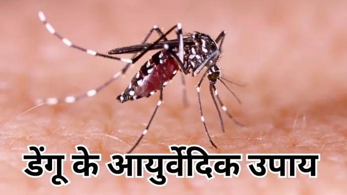 इन आयुर्वेदिक उपायों से कम करने डेंगू के लक्षण