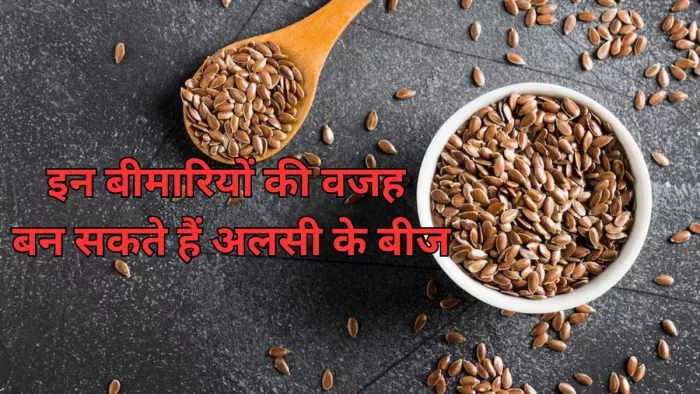 Flax Seeds Side Effects: अलसी के बीज खाने के क्या हैं साइड इफेक्ट्स