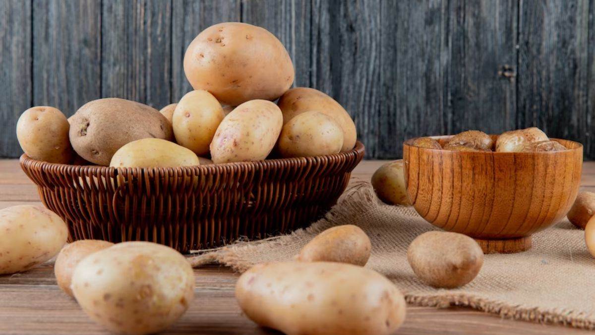 Potato Side Effects: क्या आप भी आलू खाने के हैं शौकीन, तो शरीर को उठाने पड़ सकते  हैं ये नुकसान - side effects of having too much potato know health tips