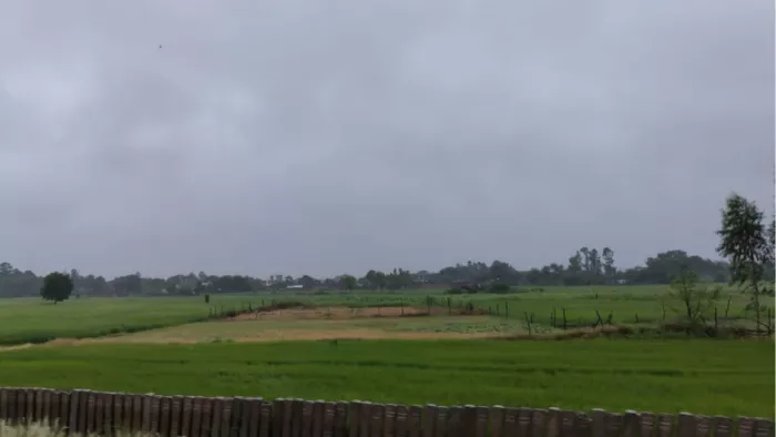 Rain In UP: उत्तर प्रदेश के अगल-अगल हिस्सों में झमाझम बारिश