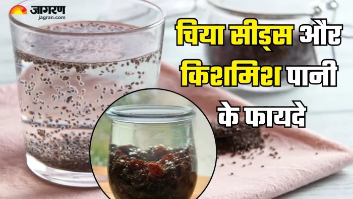 काली किशमिश और चिया सीड्स के पानी के फायदे (Picture Credit- Freepik)