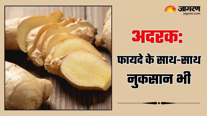 ज्यादा अदरक खाने से हो सकते हैं ये नुकसान (Image Source: Freepik)