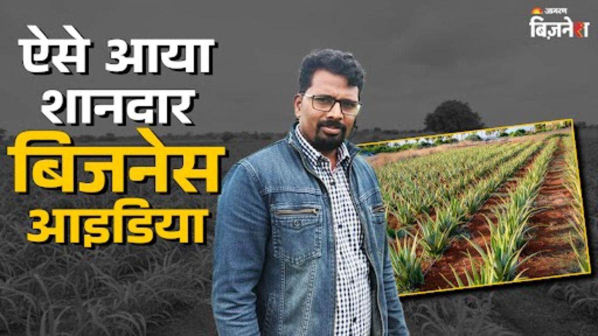https://www.jagranimages.com/images/newimg/09092025/09_09_2025-aloe_vera_farming_24040988.jpg