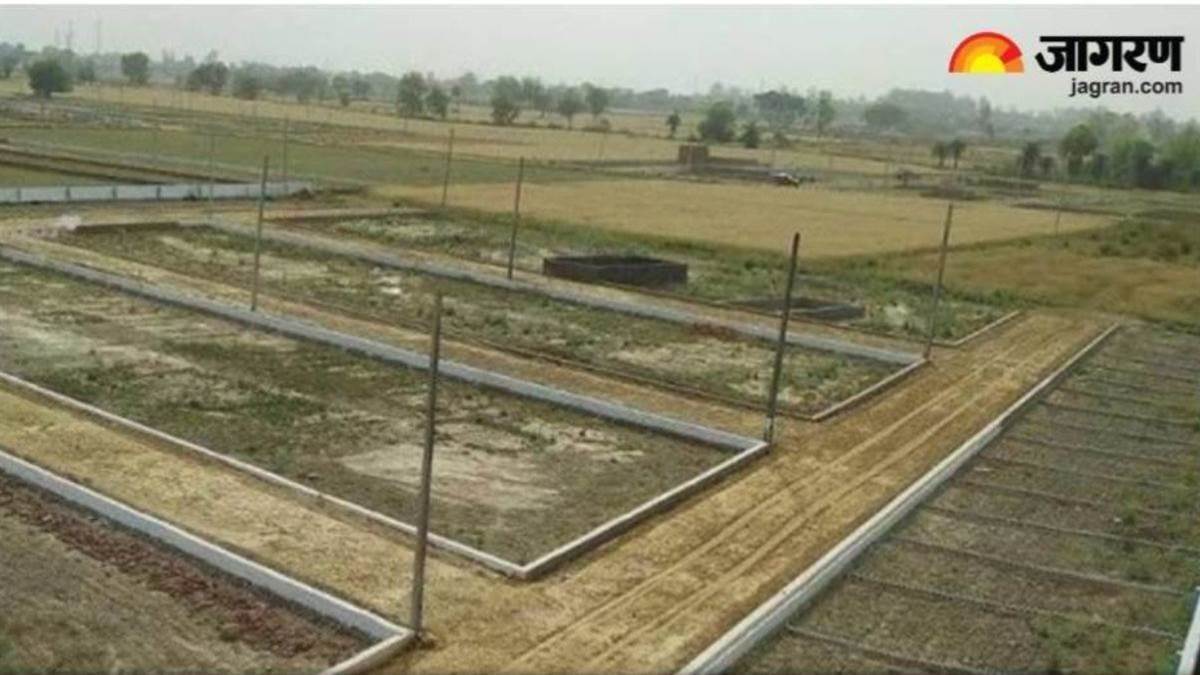 https://www.jagranimages.com/images/newimg/09092025/09_09_2025-bihar_land_24040649.jpg