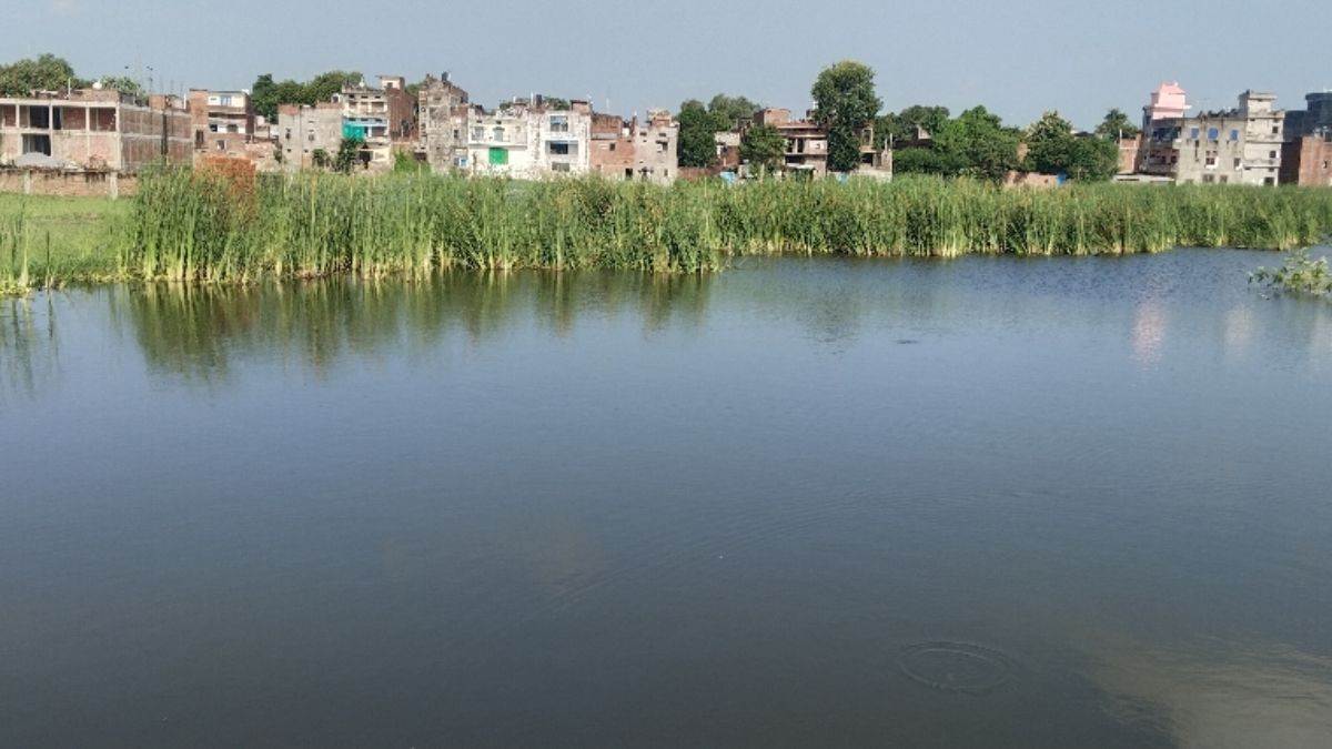 https://www.jagranimages.com/images/newimg/09092025/09_09_2025-farmer_flood_24041001.jpg